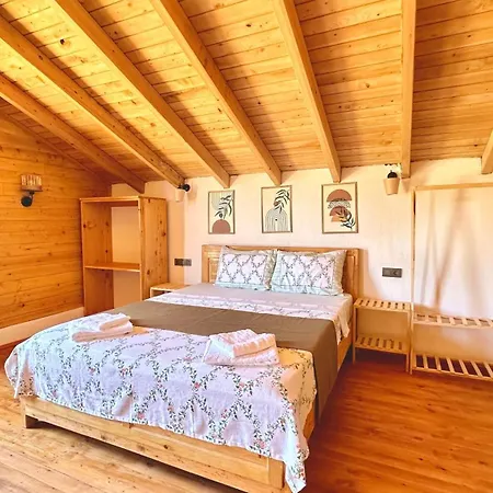 Koca Armut Villalari カシュ
